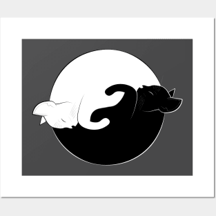 yin yang cats Posters and Art